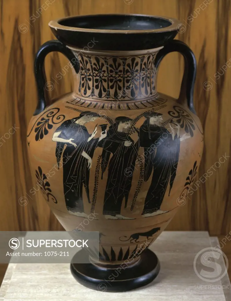 Black Figure Amphora Attic, 6th Century B.C.  Greek Art  Cummer Museum of Art & Gardens, Jacksonville, FL 