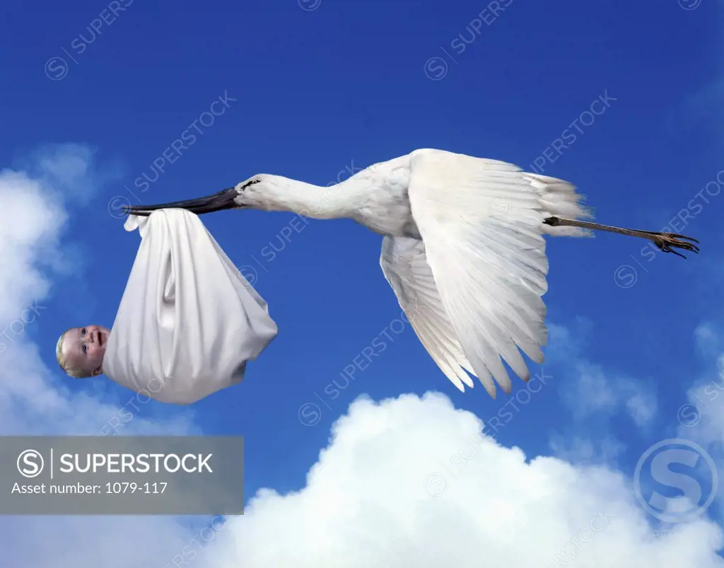 Stork delivers baby