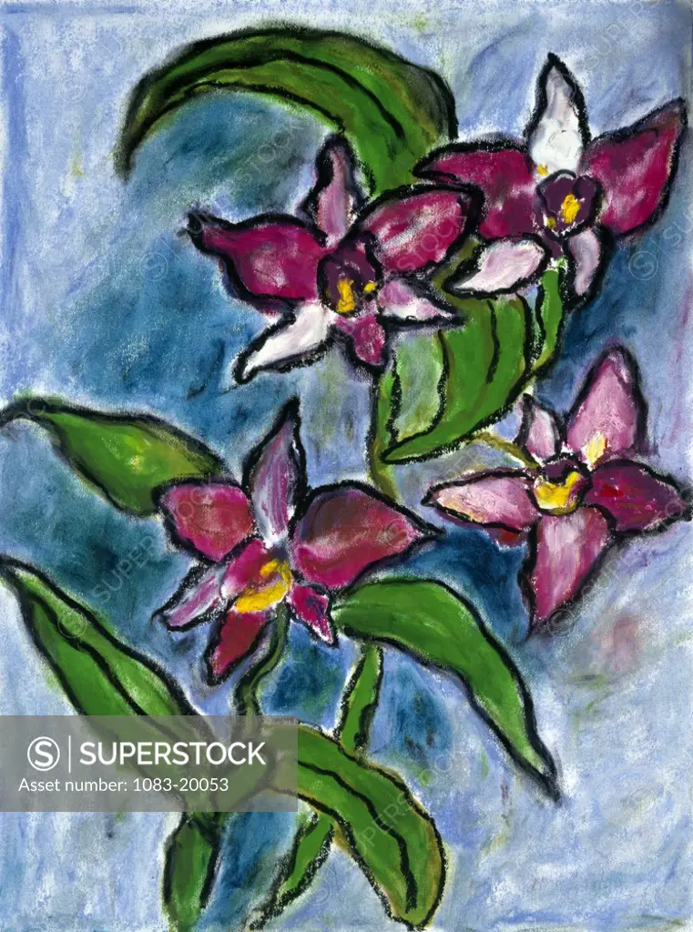 Orchids,  by Ashton Hinrichs,  Circa 1998