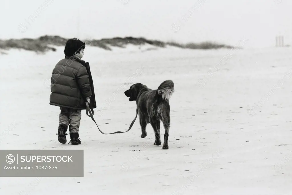 Rear view of a boy walking with his dog