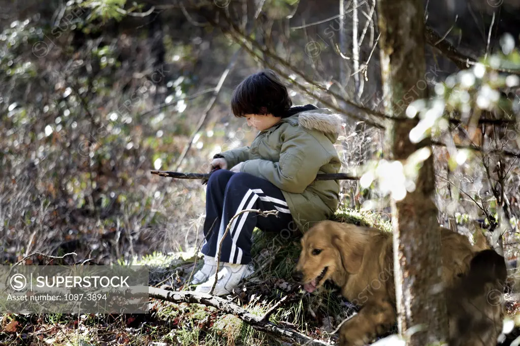 Boy sitting with a dog in a forest
