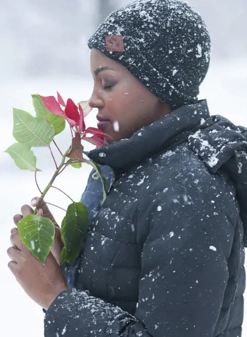 A Flower in the Snow 
