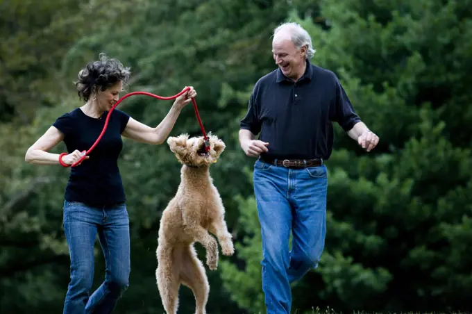 Mature couple walking with their dog in a park