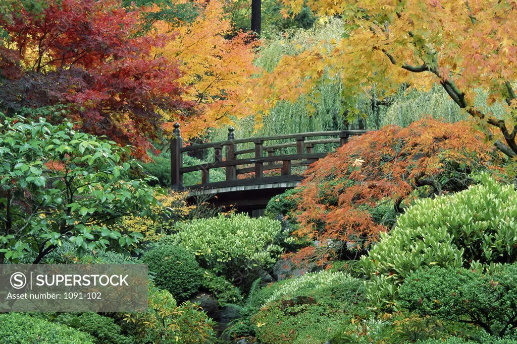Japanese GardensWashington ParkPortlandOregon, USA