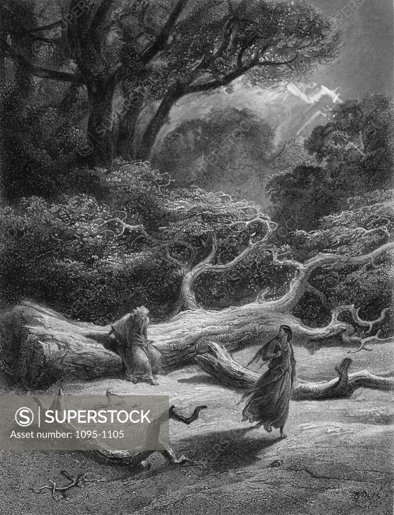 Vivien encloses Merlin in trees,  by Gustave Dore,  from Idylls of the King,  (1832-1883),  USA,  Illinois,  Chicago,  Newberry Library