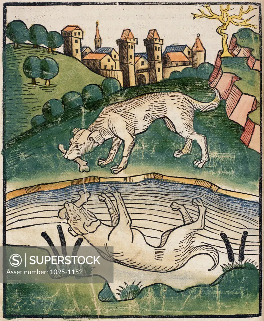 Dog with Bone and it's Reflection in a Pool 1483 (from "Buch der Weisheit der alten Weisen")  Artist Unknown Newberry Library, Chicago 