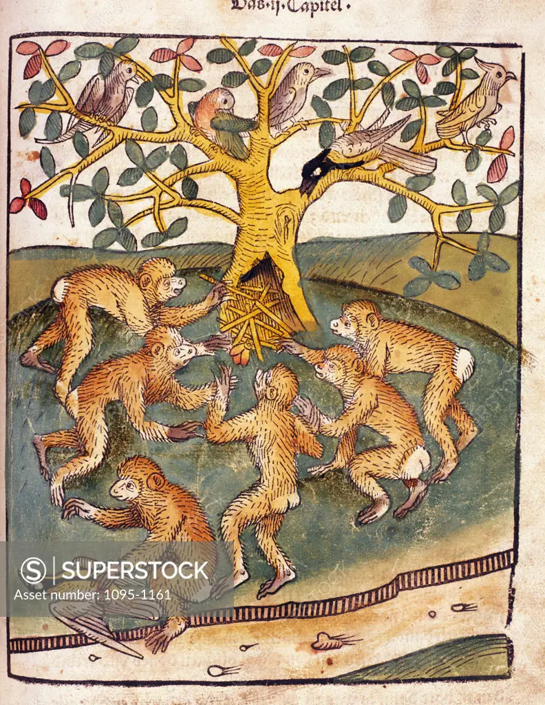 Monkeys starting fire under tree,  from Buch der Weisheit der alten Weisen,  USA,  Illinois,  Chicago,  Newberry Library,  1483