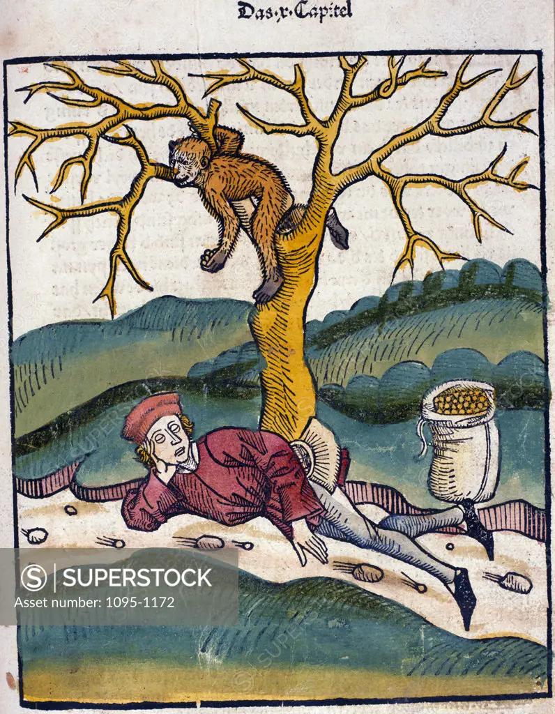 Man sleeping under tree with Monkey in,  from Buch der Weisheit der alten Weisen,  USA,  Illinois,  Chicago,  Newberry Library,  1483
