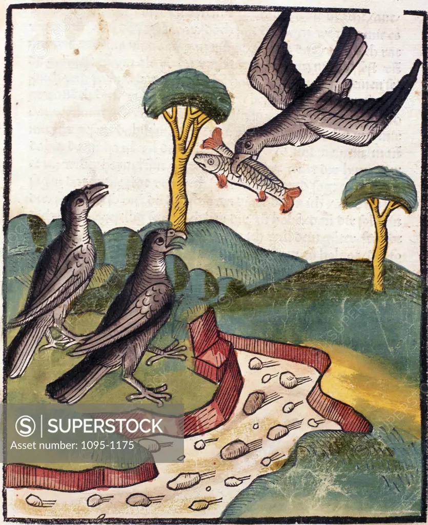 Bird with fish in mouth,  flying towards other birds,  from Buch der Weisheit der Alten Weisen,  USA,  Illinois,  Chicago,  Newberry Library,  1483