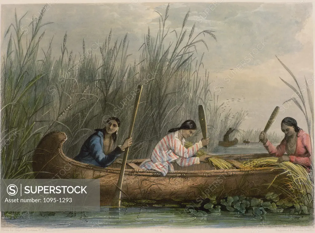 Gathering Wild Rice(from "The American Aboriginal Portfolio" by Mary Eastman) 1853 Seth Eastman (1808-1878 American) Newberry Library, Chicago 