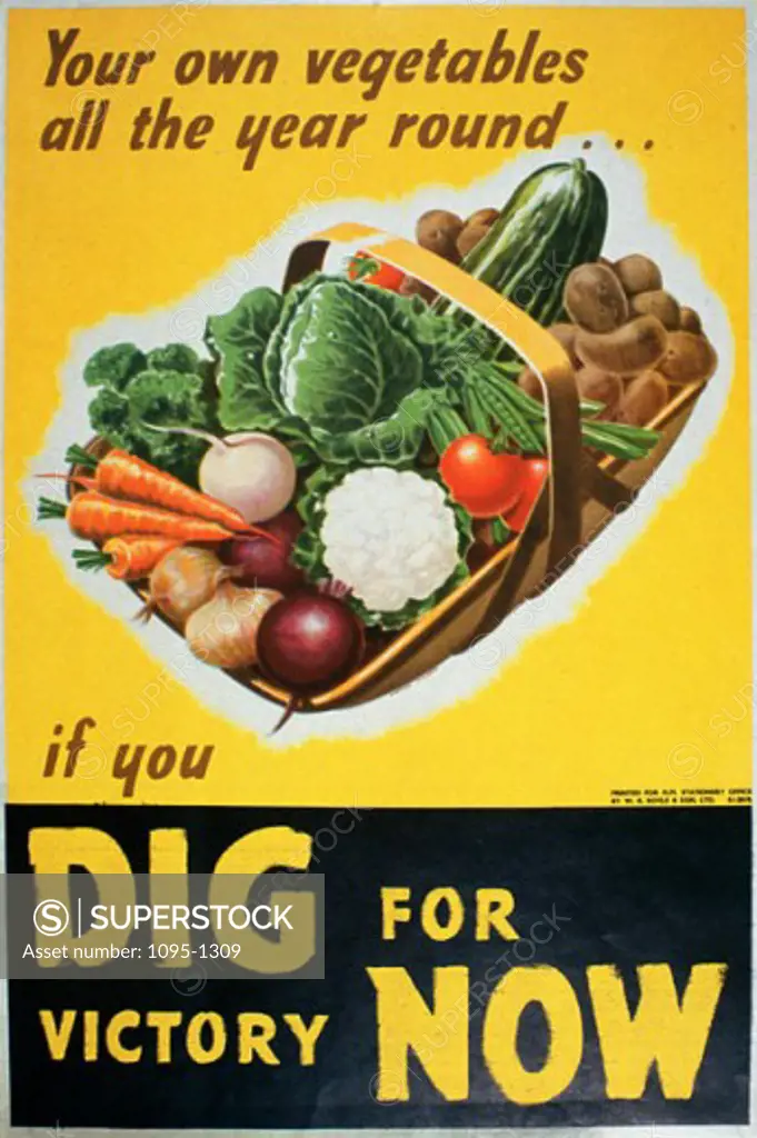 Your Own Vegetables All the Year Round if You Dig for Victory Now Artist Unknown Poster (World War II) 