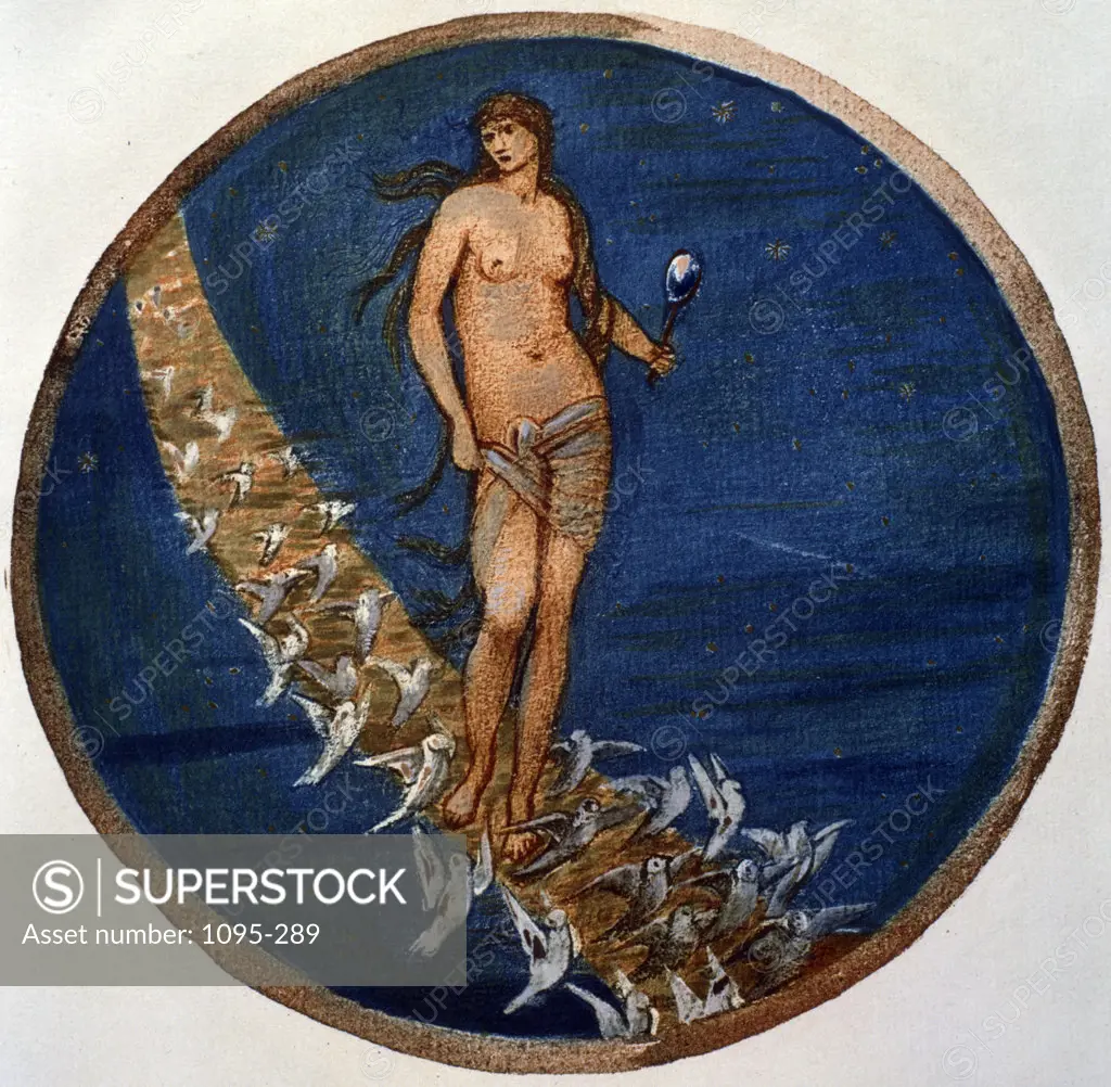Rose of Heaven,  Venus and her Doves Amongst The Stars,  from The Flower Book,  by Edward Burne-Jones,  (1833-1898),  USA,  Illinois,  Chicago,  Newberry Library