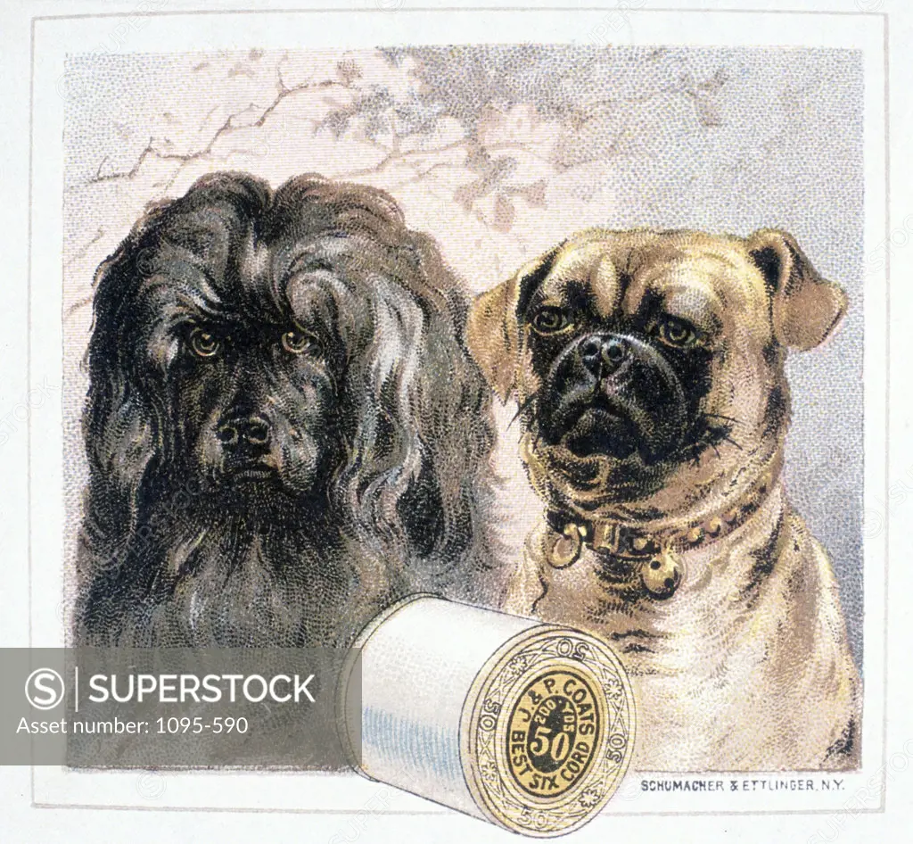 J & P Coats Best Six Cord,  Trade Cards,  19th Century