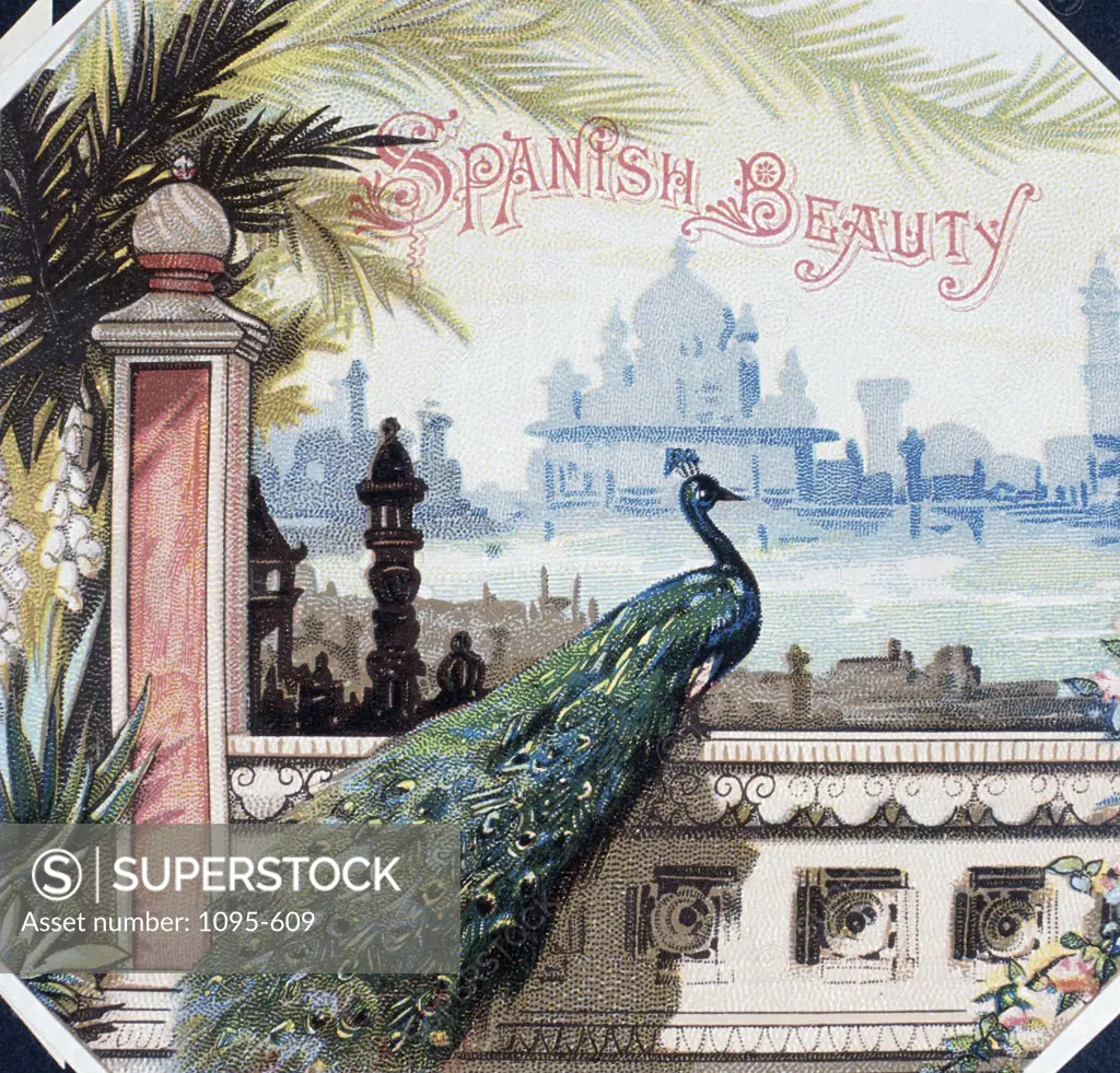 Spanish Beauty,  Cigar box labels,  19th Century