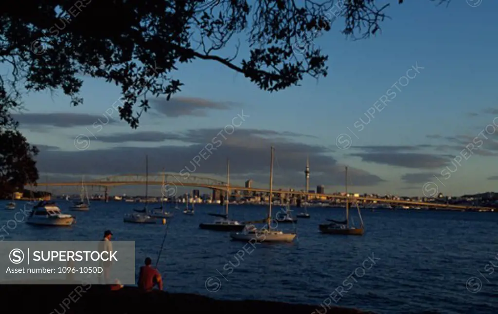 Sailboats in a harbor with a bridge in the background, Auckland Harbour Bridge, Auckland, New Zealand