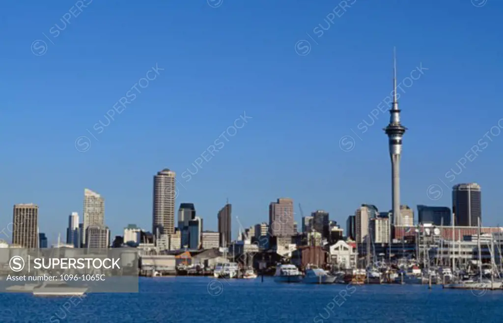 Skyscrapers on the waterfront, Sky Tower, Auckland, New Zealand