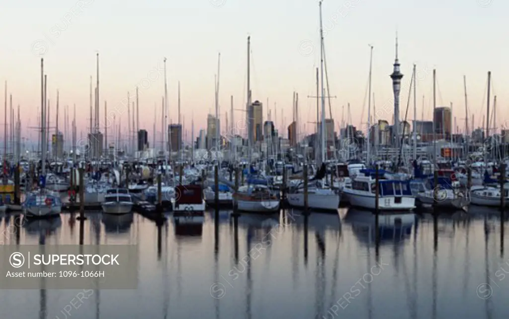 Sailboats moored in a harbor, Auckland, New Zealand