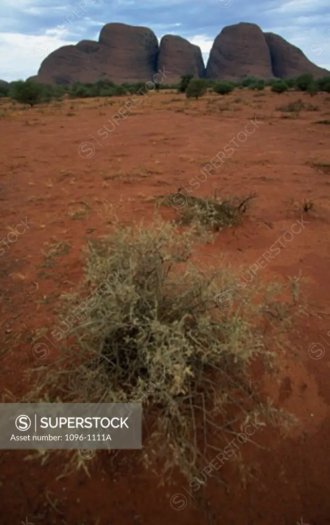 Rock formations on a landscape, Olgas, Uluru-Kata Tjuta National Park, Northern Territory, Australia