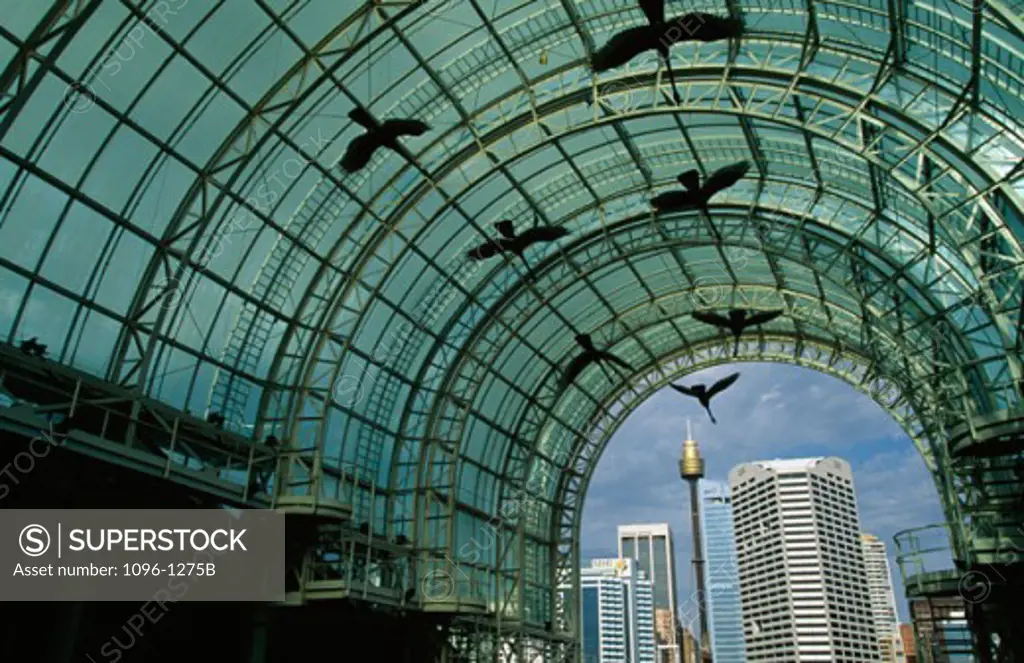 Low angle view of sculptures of birds in a shopping mall, Harbourside Shopping Centre, Darling Harbor, Sydney, New South Wales, Australia
