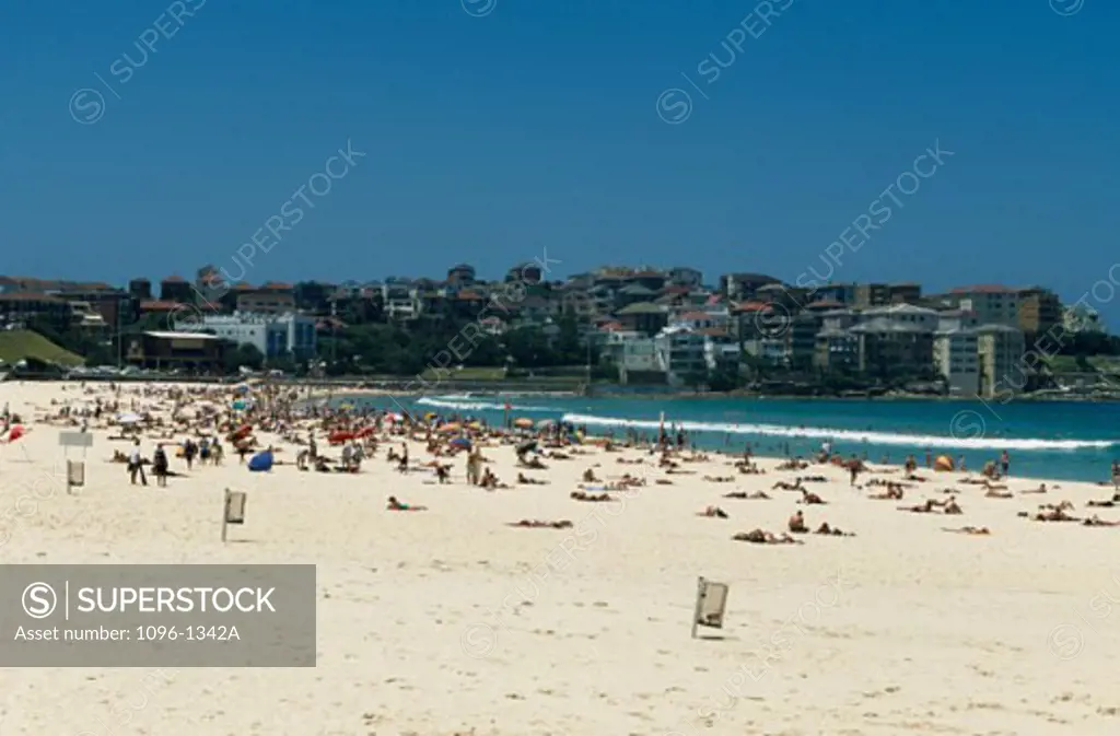 High angle view of tourists on the beach, Sydney, New South Wales, Australia