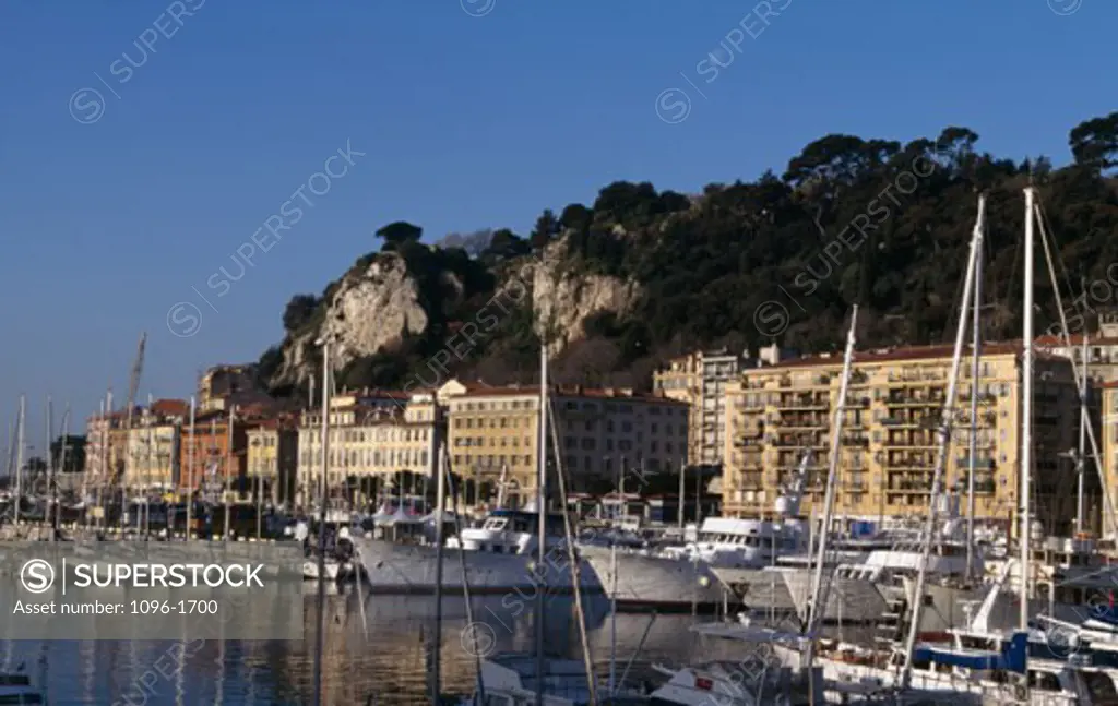 Sailboats moored in a port, Nice, France