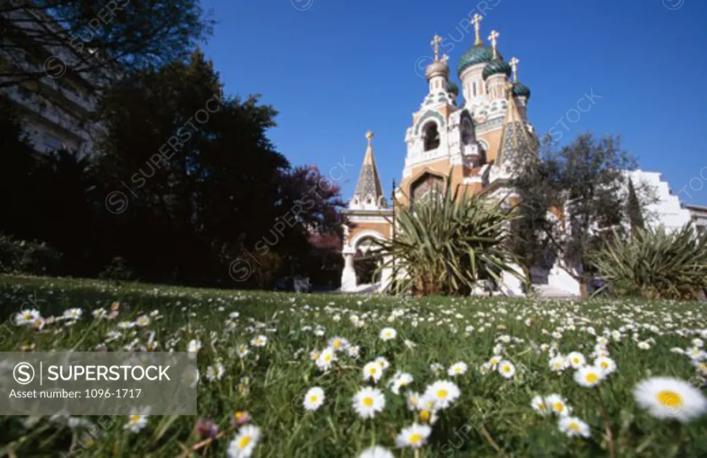 Flowers in a field in front of a cathedral, Russian Orthodox Cathedral, Nice, France