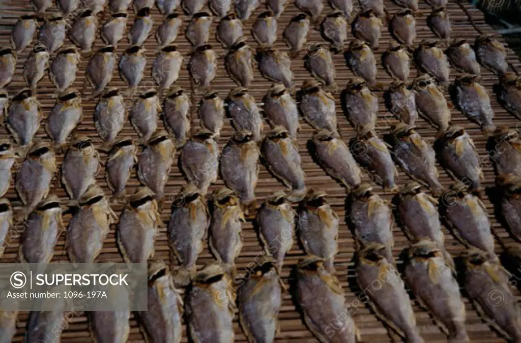 High angle view of dry fish, Hong Kong, China