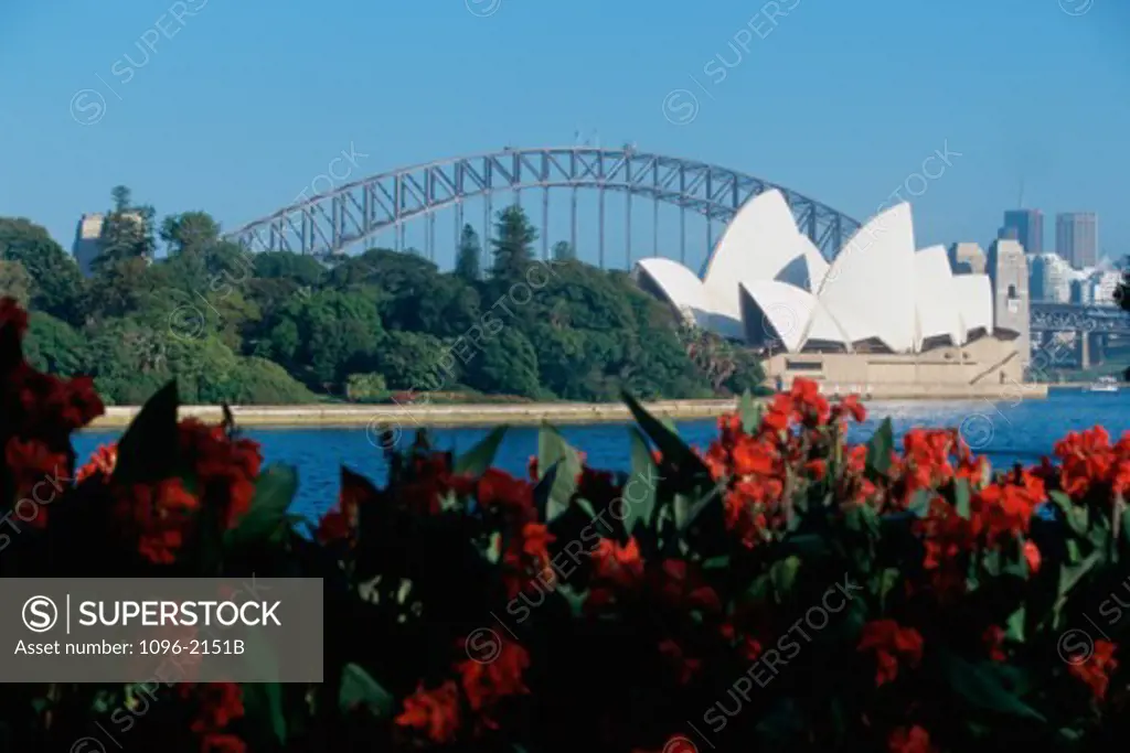 Flowering plants in front of the Sydney Opera House, Sydney, Australia