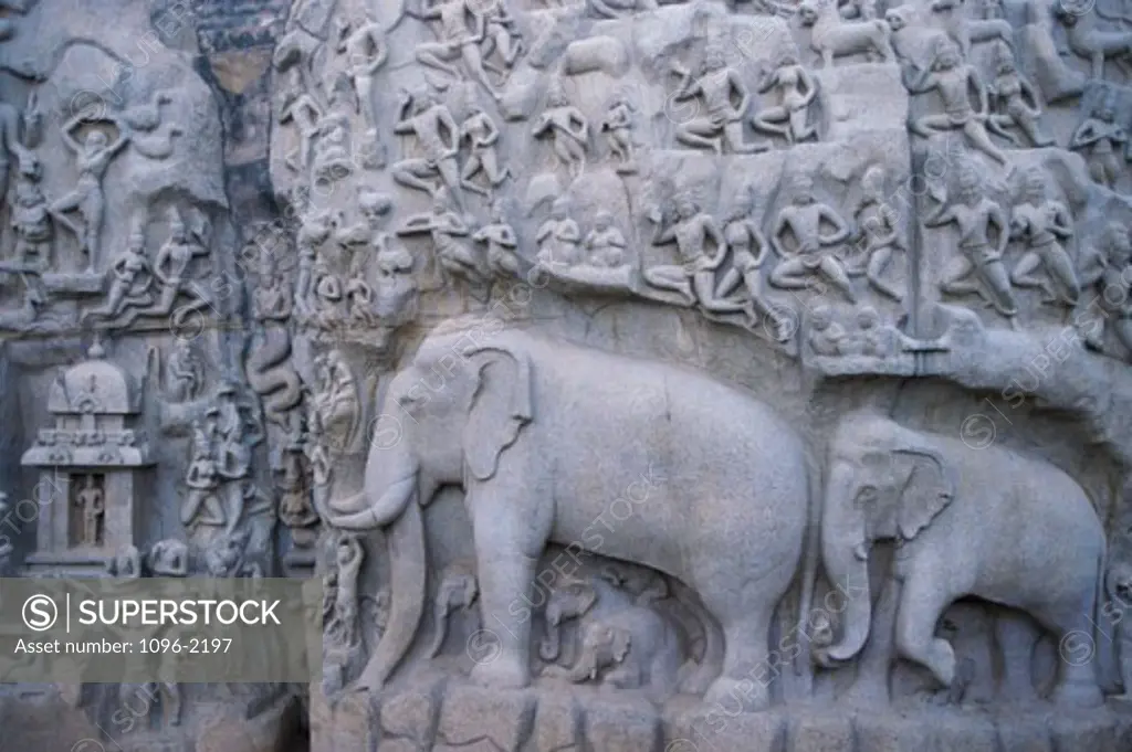 Carvings on a wall, Arjuna's Penance, Mamallapuram, Tamil Nadu, India