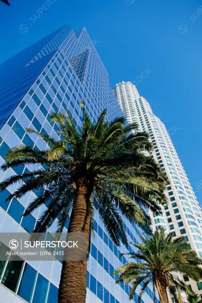 Low angle view of two high rise buildings, Los Angeles, California, USA