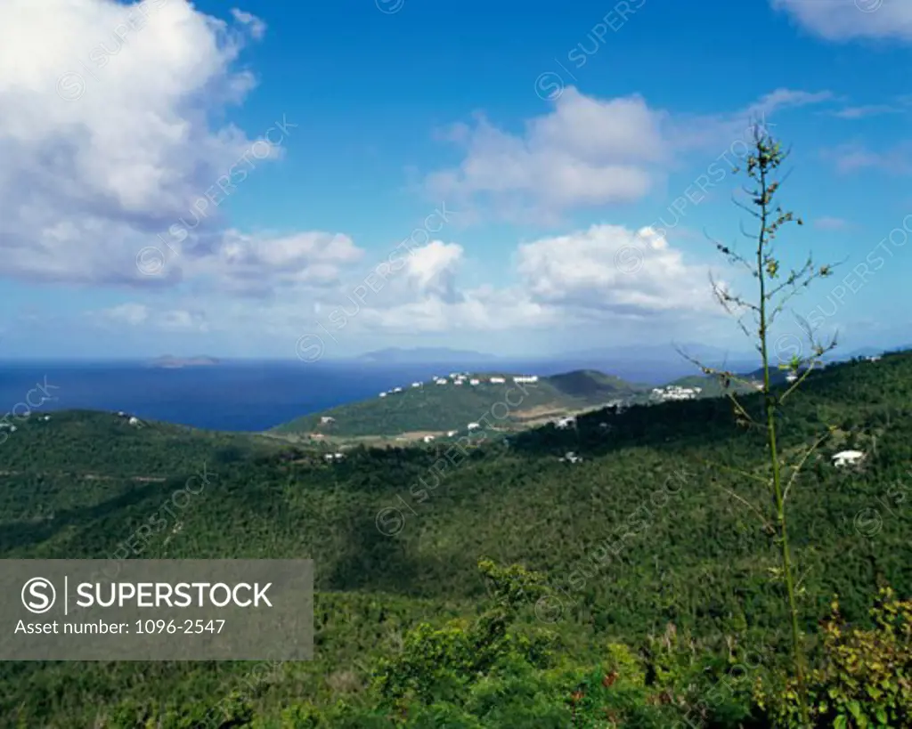 Panoramic view of a hillside, Charlotte Amalie, St. Thomas