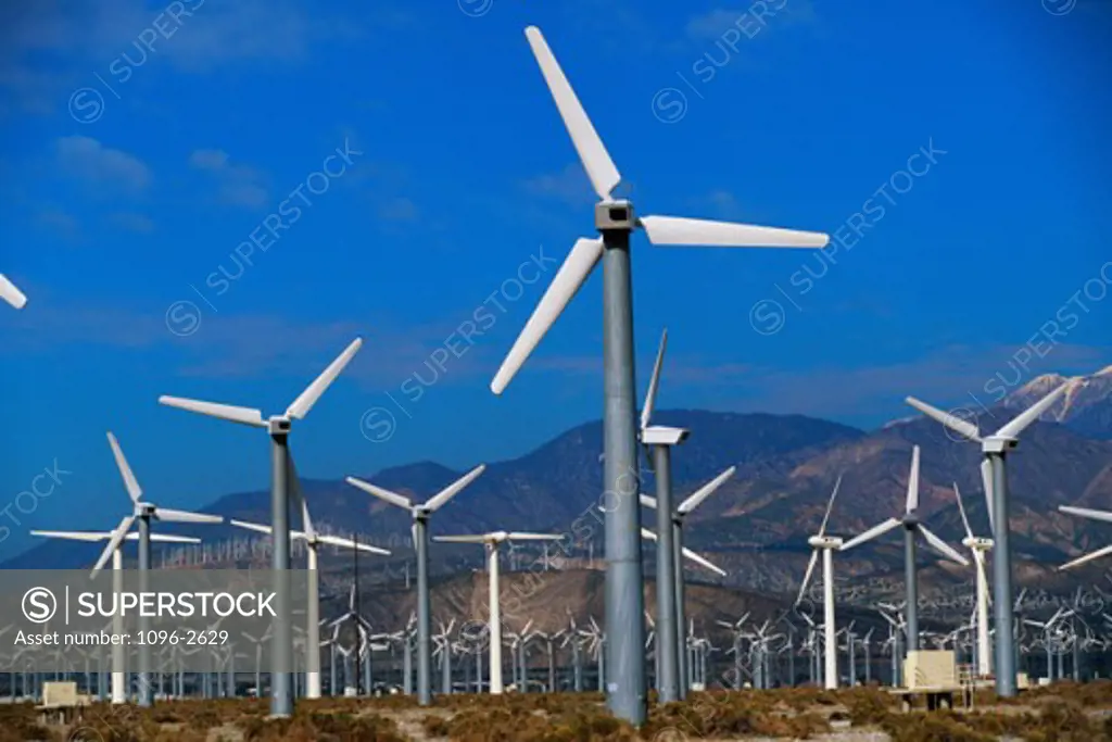 Array of wind turbines, Palm Springs, California, USA