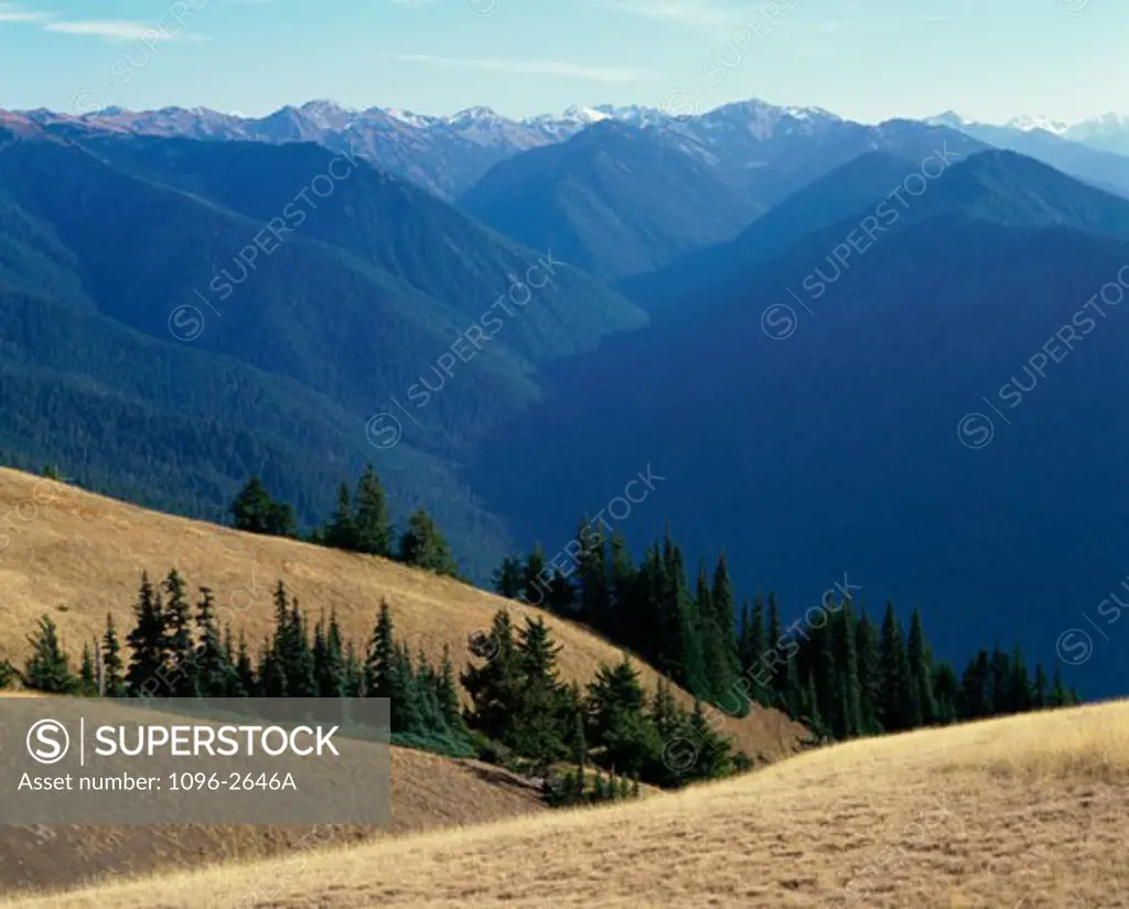 Panoramic view of a hilly landscape, Oregon, USA