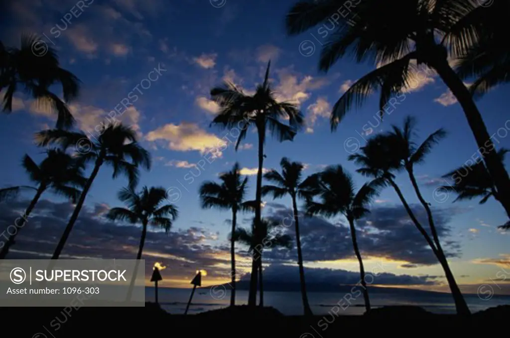 Maui Hawaii USA