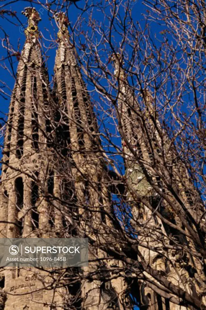 Low angle view of a basilica, Sagrada Familia, Barcelona, Spain