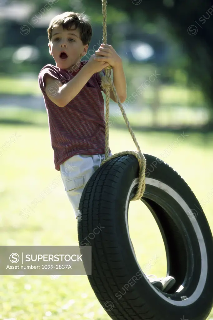 Boy riding a tire swing