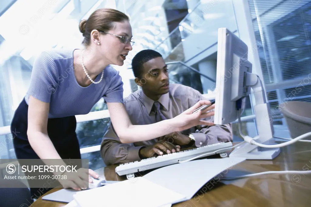 Businesswoman and a businessman in front of a computer monitor