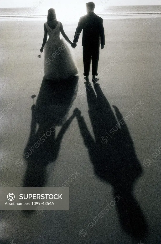 Rear view of a newlywed couple holding hands on the beach