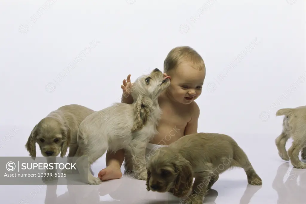Baby boy playing with puppies