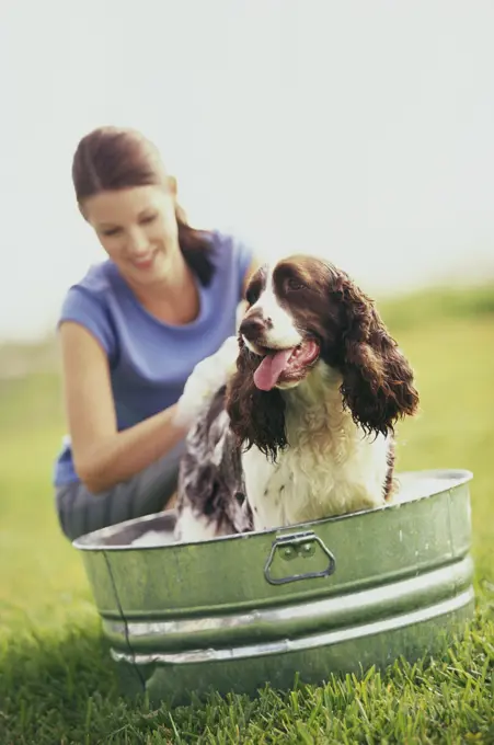 Young woman washing a dog on a lawn