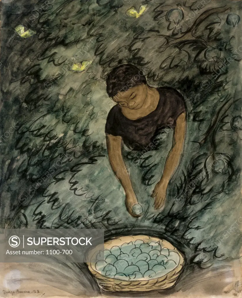 Woman Picking Limes  1928  Diego Rivera (1886-1957 Mexican)  Watercolor and pencil   