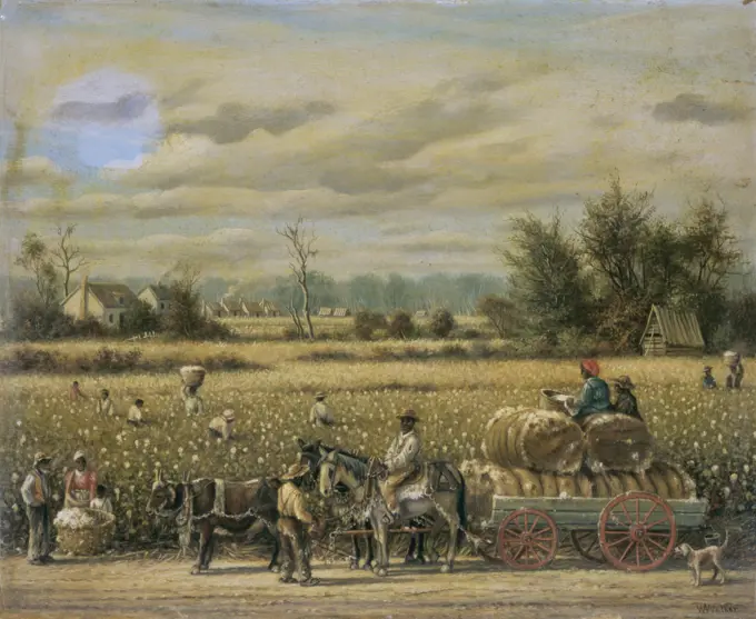 Picking Cotton  William Aiken Walker (1838-1921/American) Oil on board 