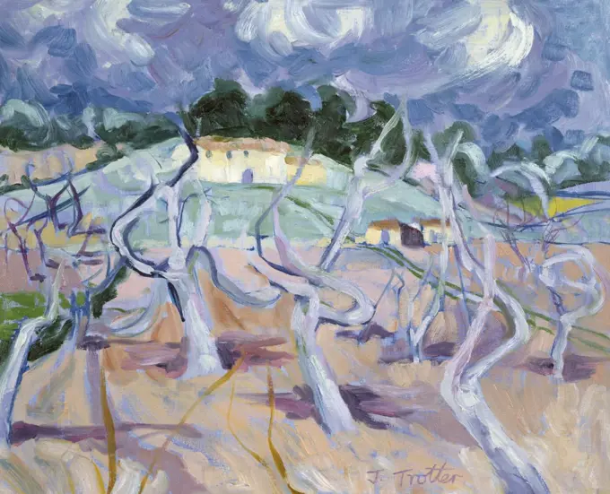 Olive Trees  by Josephine Trotter (b.1940/British)
