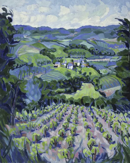 Vineyard In the Lot Josephine Trotter (b.1940/British) Oil on Canvas