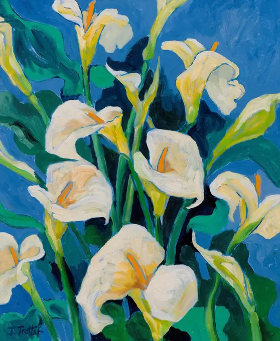 Lilies by Josephine Trotter, 2012.  (b.1940/British)