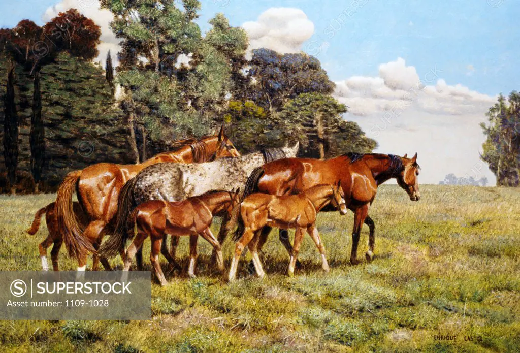 The Herd by Enrique Castro,  oil on canvas,  1996,  Argentina,  Buenos Aires,  Zurbaran Galeria