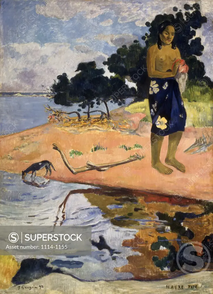Haere Pape  1892  Paul Gauguin (1848-1903/French)  Oil on canvas Barnes Foundation, Merion, Pennsylvania     
