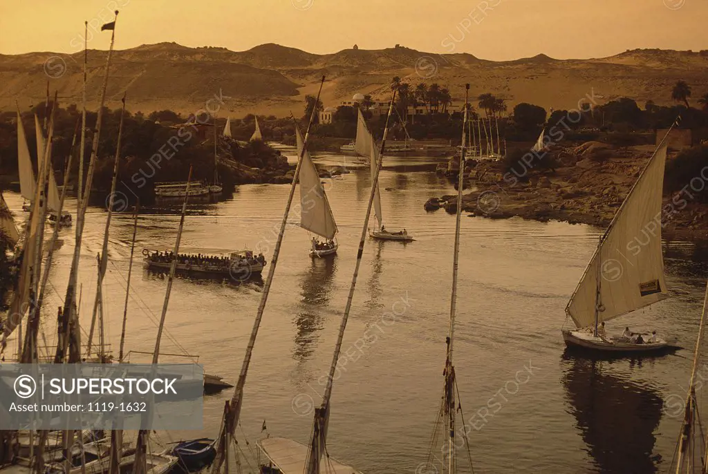 High angle view of felucca boats in the river, Nile River, Aswan, Egypt