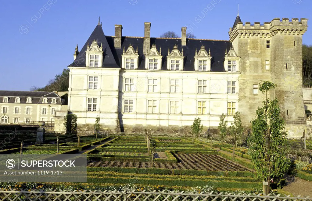 Formal garden in front of a castle, Chateau de Villandry, Villandry, France