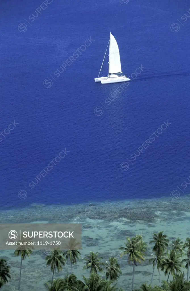 High angle view of a sailboat in the ocean, Bora Bora, French Polynesia